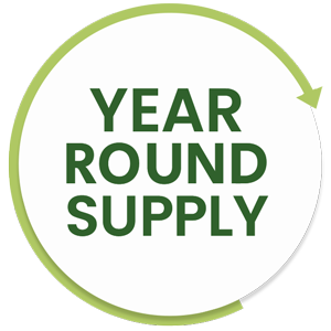 year round supply